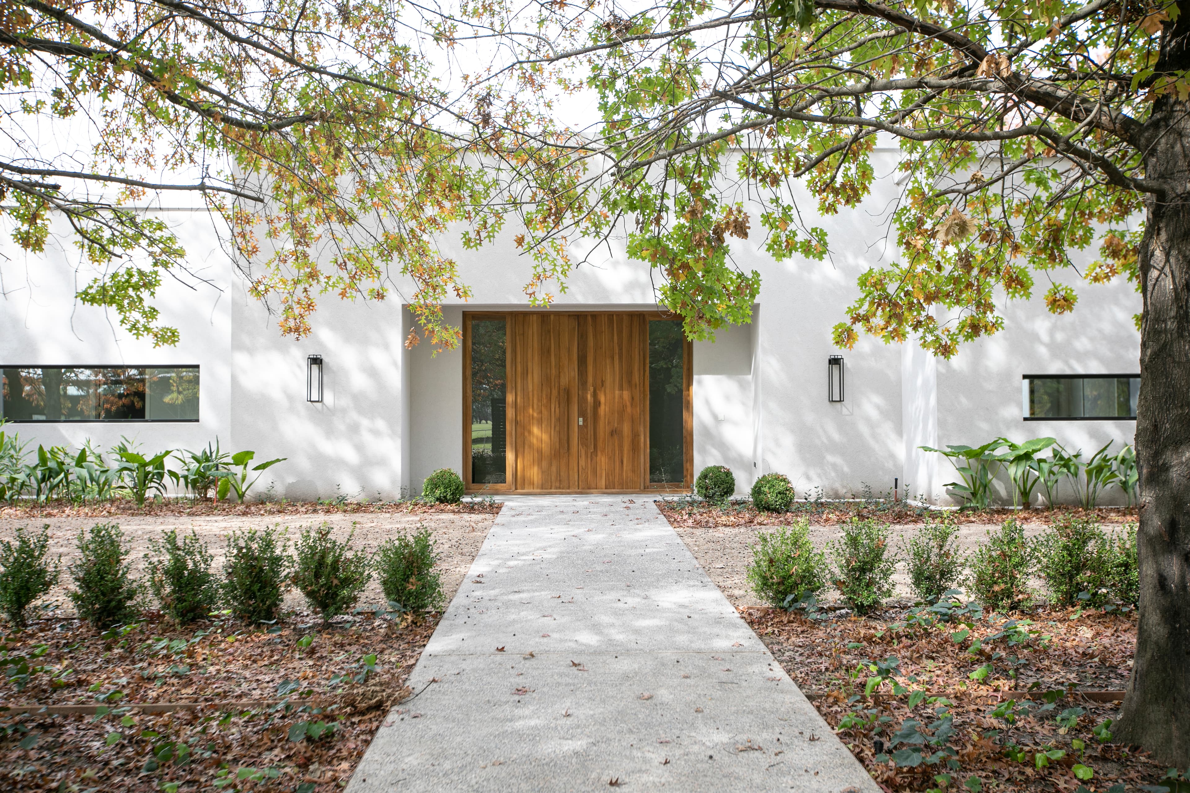 Luxury architectural interior with natural light and wooden elements